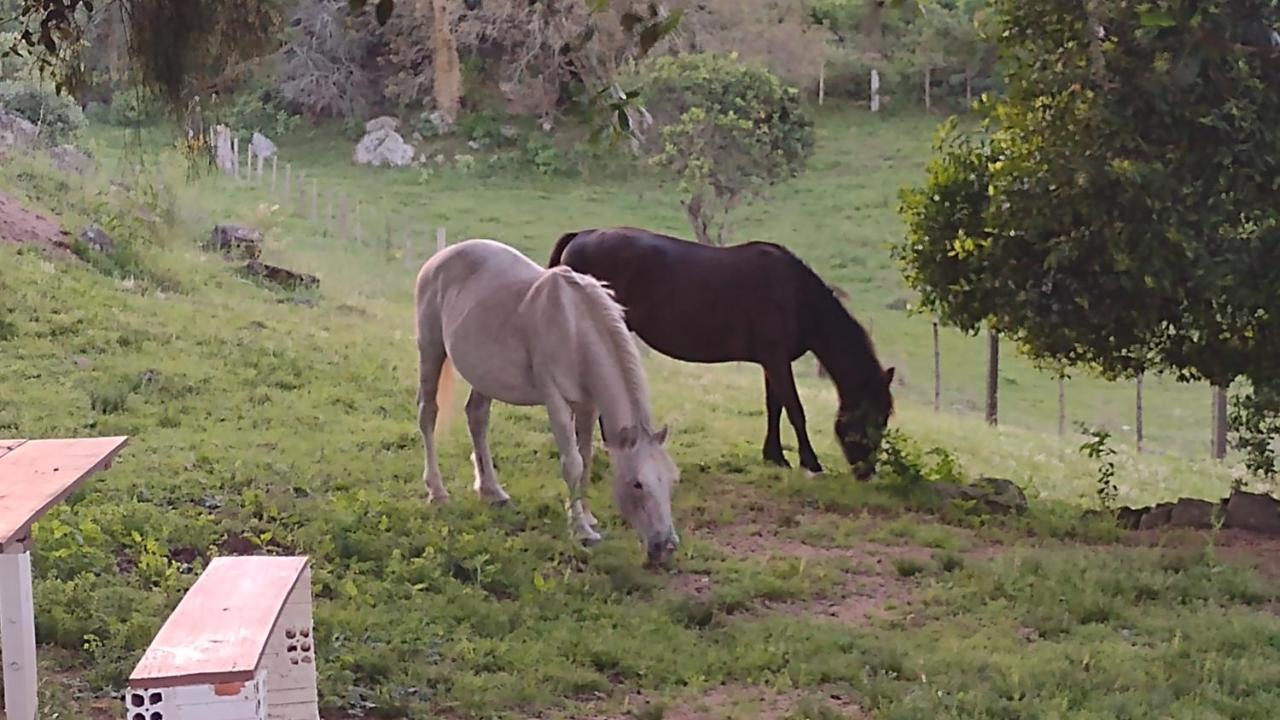 Casa & Chale Em Morro Redondo Rs Villa Buitenkant foto